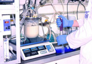 Ingeniería Bioquímica PUCV desarrolla prebióticos derivados de lactosa para la industria láctea - Foto 1