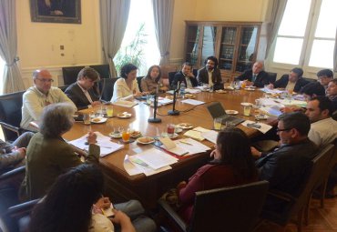 Investigadoras de la PUCV asesoran a parlamentarios sobre ley apícola - Foto 1