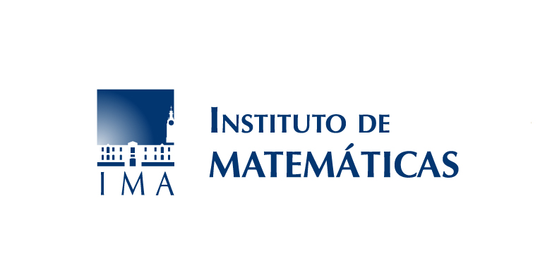Escuelas de Verano del Instituto de Matemáticas