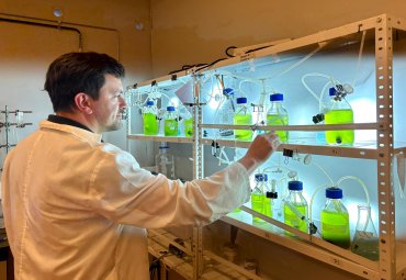 IA improves micro-algae bioprocesses with great applications for the industry