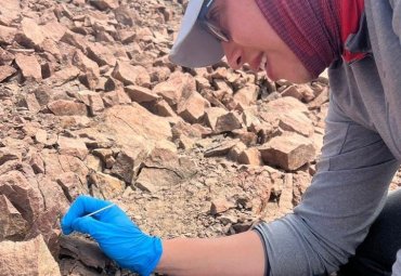 Instituto de Biología lidera innovadora investigación para conservar cactus endémico de Chile mediante bacterias benéficas