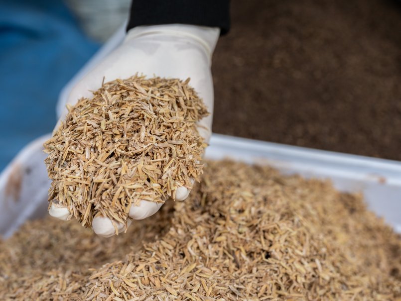 From rice husk to clean fuels: the project that seeks to transform CO₂ into sustainable energy