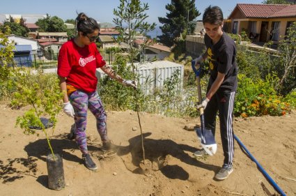 Estudiantes PUCV realizan voluntariado para la reforestación de Valparaíso