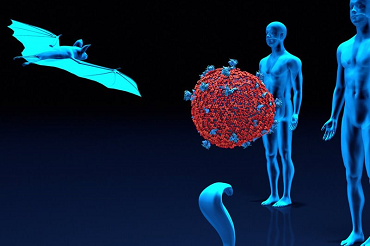 “Es altamente probable que en el futuro la humanidad se encuentre con otras especies de virus”