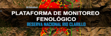 Plataforma Monitoreo Fenológico R.N. Rio Clarillo
