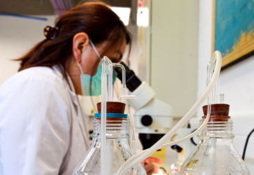 Investigación