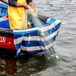 Cuatro académicos de la ECM fueron seleccionados para integrar Comités Científicos Pesqueros que asesoran al Ministerio de Economía