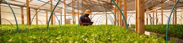 <p>FACULTAD DE CIENCIAS AGRONÓMICAS Y DE LOS ALIMENTOS</p>