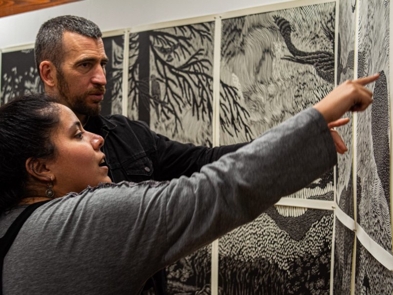 Exposición “Dieciséis vistas de un pájaro” invita a profundizar en la biodiversidad de La Araucanía