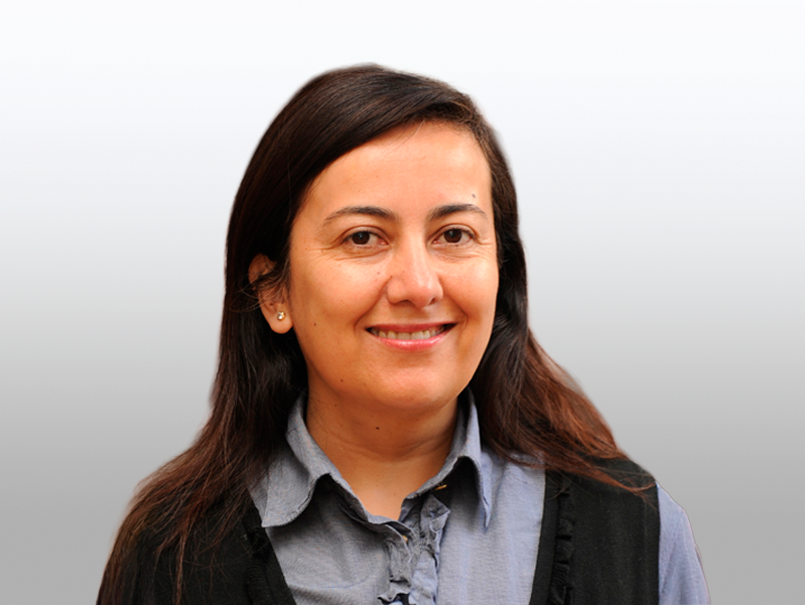 Lenguaje Claro y el derecho a comprender: Académica lidera avances en el país