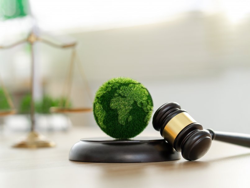 Proyecto ahondará en desafíos jurídicos de los nuevos delitos ambientales en Chile