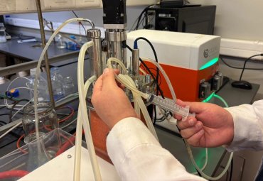 Proyecto permitirá optimizar procesos productivos mediante nuevas cepas de levadura biotecnológica