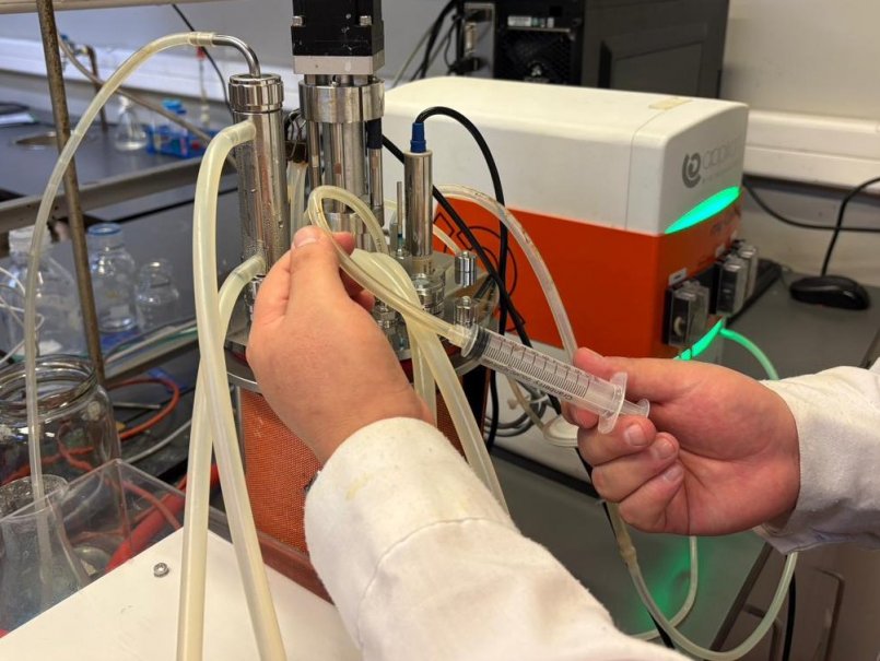 Proyecto permitirá optimizar procesos productivos mediante nuevas cepas de levadura biotecnológica