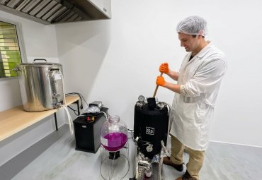 Innovador Taller de Microvinificación con planta integra producción de cerveza y vino