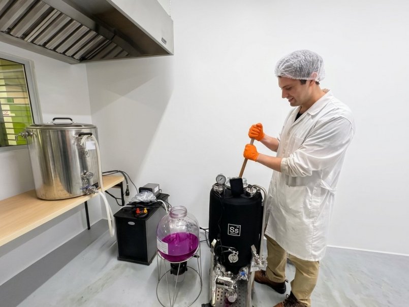 Innovating micro-winemaking workshop integrates beer and wine production in plant