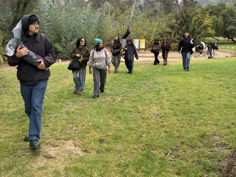 Licenciatura en Arte PUCV realizará ciclo de intervenciones artísticas en el Jardín Botánico Nacional