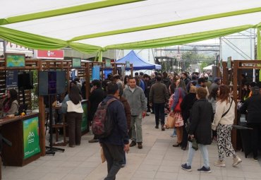 PUCV lleva la ciencia y la innovación al encuentro con la ciudadanía en Villa Alemana