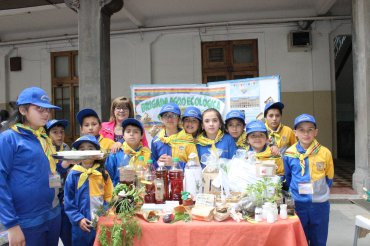 Programa de Emprendimiento Escolar - PONTIFICIA UNIVERSIDAD CATÓLICA DE  VALPARÍSO