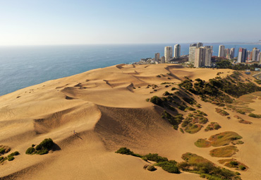 Dr. Hermann Manríquez: “Las dunas son espacios de libertad que tienen mérito suficiente para ser conservados”
