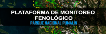 Plataforma Monitoreo Fenológico P.N. Pumalin