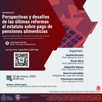 Seminario "Perspectivas y desafíos de las últimas reformas al estatuto sobre pago de pensiones alimenticias"