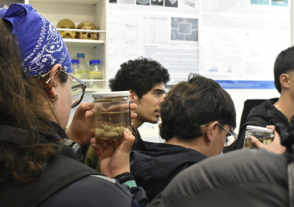 Jóvenes escolares recorren distintos laboratorios de investigación del Instituto de Biología en jornada de Día Abierto PUCV 2023