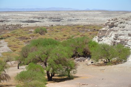 Geografía histórica de los paisajes mineros del desierto de Atacama