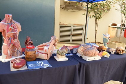 Facultad de Ciencias conmemora día del profesor en Campus Curauma