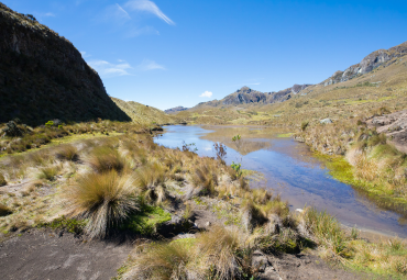 Agronomía PUCV Reúne a Especialistas para Abordar el Impacto de los Plaguicidas en Cuencas Hidrográficas