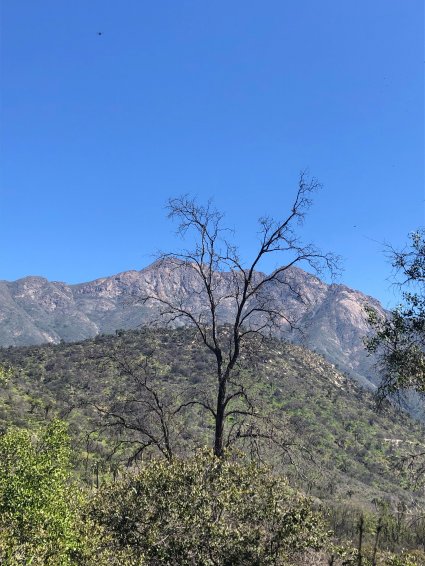 PUCV lidera diseño del primer inventario nacional de impactos del cambio climático
