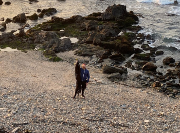 PUCV investiga bebidas probióticas a partir de macroalgas de la región de Valparaíso