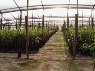 PUCV y SQM la alianza estratégica para impulsa la investigación e innovación