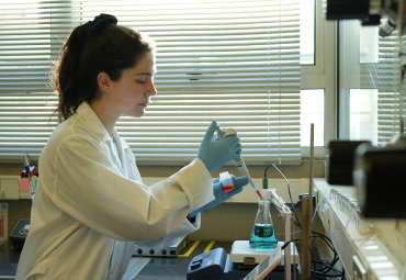 Líneas de Investigación